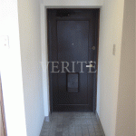 2020年12月28日撮影