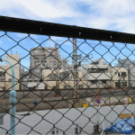 2025/11/12撮影 2025/11/12撮影