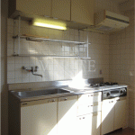 2020年12月28日撮影