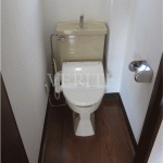 2020年12月28日撮影